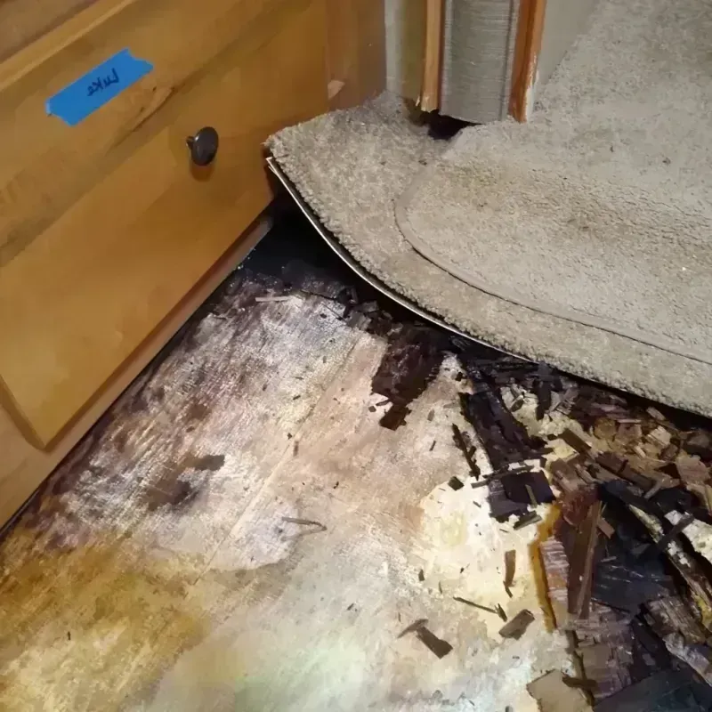 Wood Floor Water Damage in Golden Hills, CA